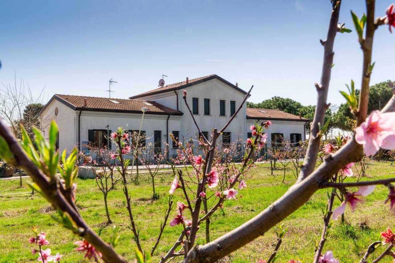 Agriturismo Ca' Baccan Cavallino-Treporti Buitenkant foto