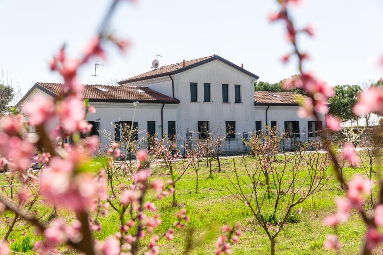 Agriturismo Ca' Baccan Cavallino-Treporti Buitenkant foto
